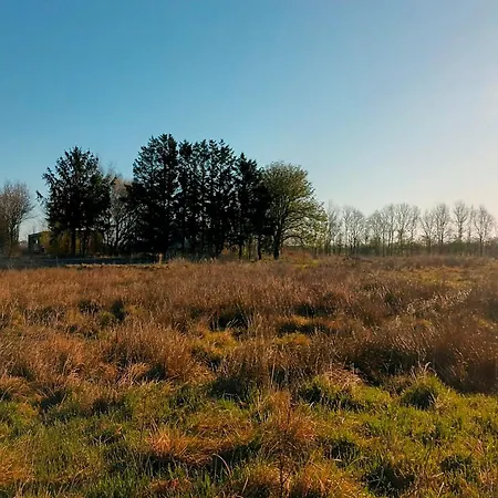 Vibe In Architectural Settings *