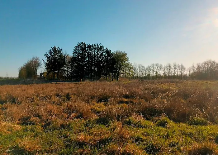 Vibe In Architectural Settings *