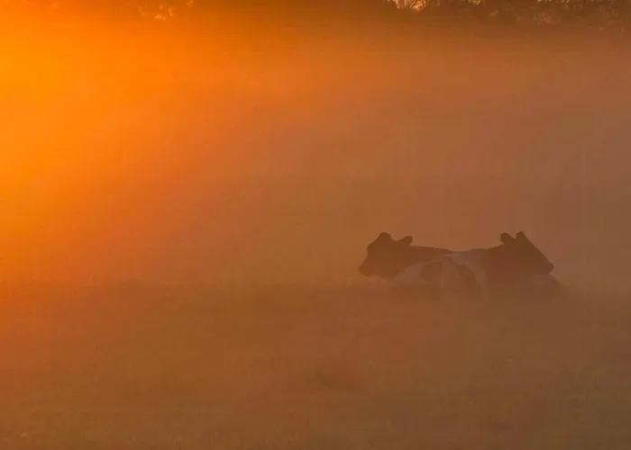 Vibe In Architectural Settings Arre